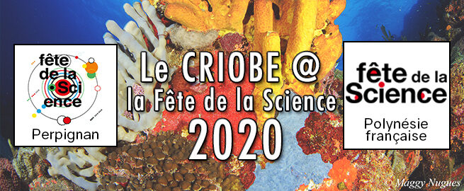 The “Fête de la Science” – 2020