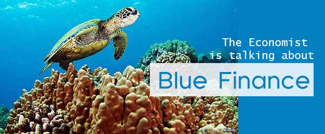 You are currently viewing BLUE FINANCE