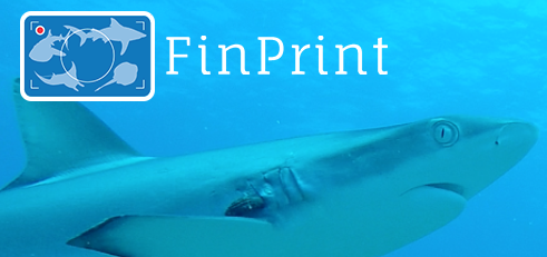 Read more about the article FinPrint: French Polynesia