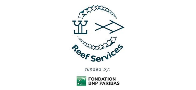 Reef services