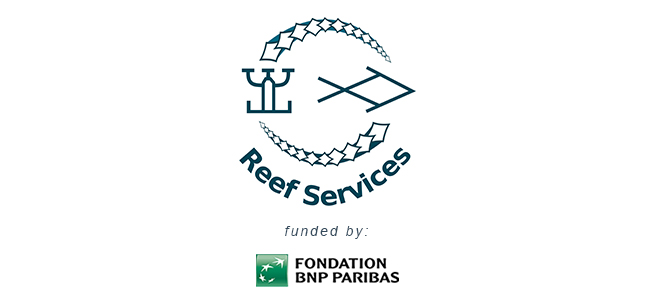 You are currently viewing Reef services