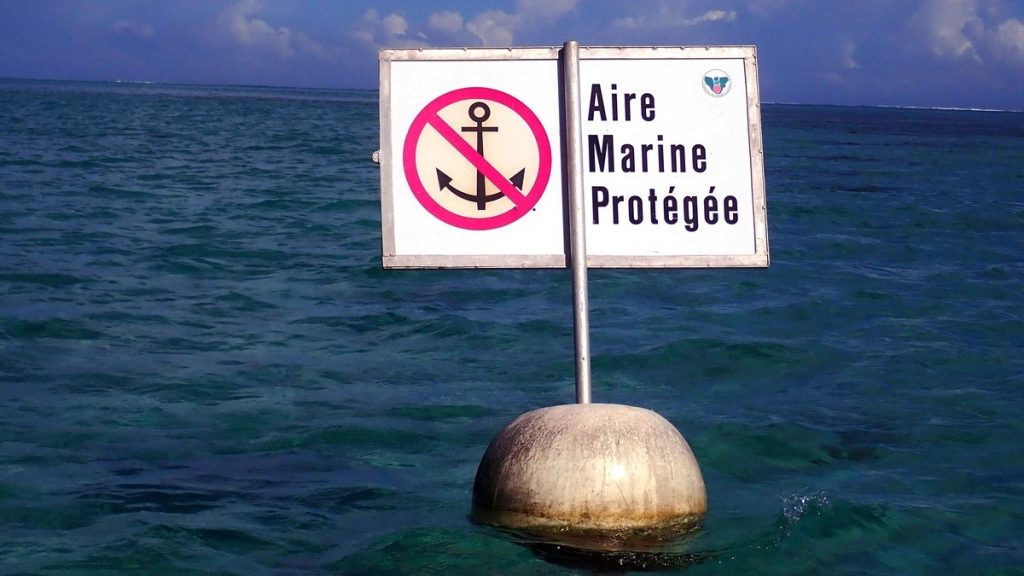 Aire marine protégée à Moorea, en Polynésie française
