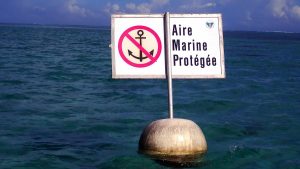Read more about the article Fisheries outcomes of marine protected area networks:Levels of protection, connectivity, and time matter