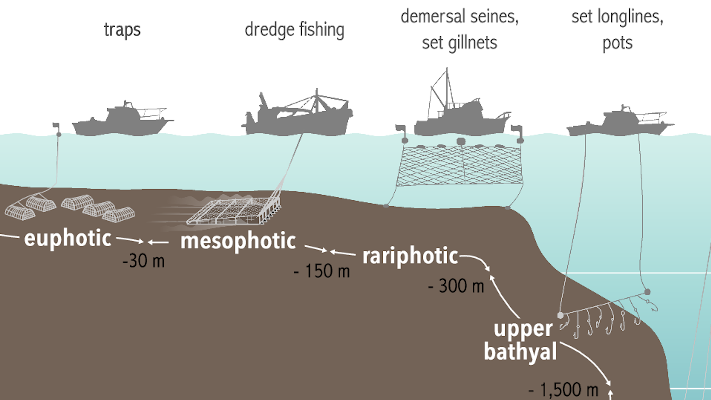 La pêche atteint les profondeurs mais la conservation marine reste superficielle