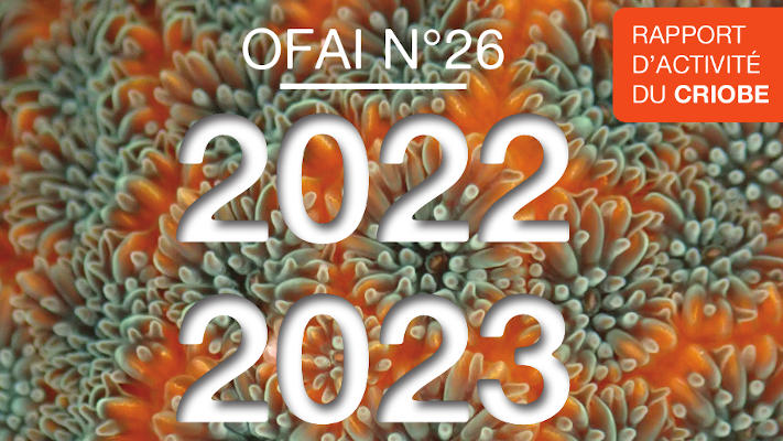 OFAI N°26